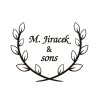 M.Jiracek model 185S - křídlovka Bb, perinetová