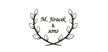 M.Jiracek model 185S - křídlovka Bb, perinetová
